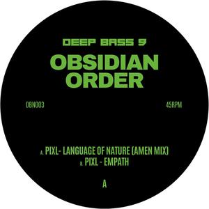 Language of Nature (Amen Mix)