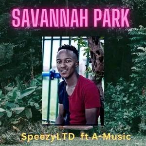 Savannah Park (feat. A-Music)