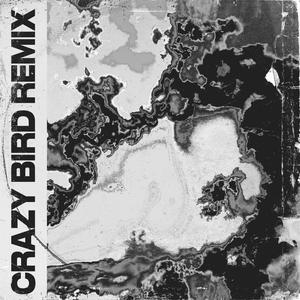 Crazy Bird (feat. Xander Milne) (Xander Milne Remix)