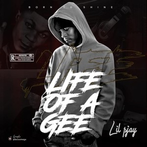 Life of a Gee (Explicit)