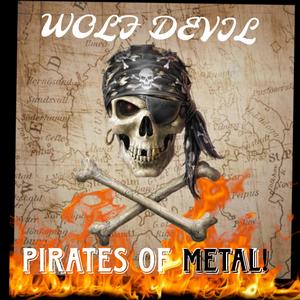 Pirates of Metal