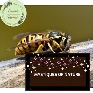 Mystiques of Nature