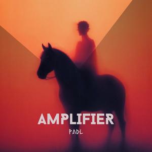 Amplifier