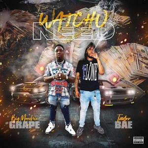 Watchu Need (feat. Big Moochie Grape) [Explicit]