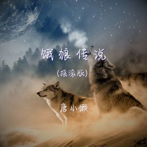 饿狼传说 (摇滚版) - 唐小懒封面