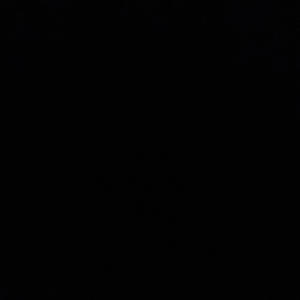 young life crazy (feat. Wintxr) (Explicit)