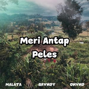 Meri Antap Peles (feat. MALATA & DNVND)