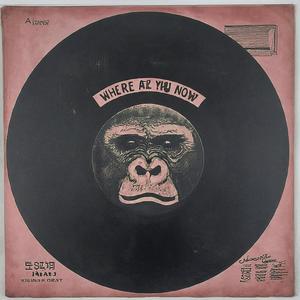 Where are you now (Remix|Explicit)