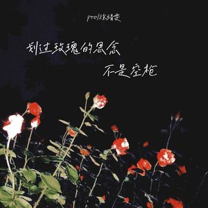 划过玫瑰的思念不是空枪