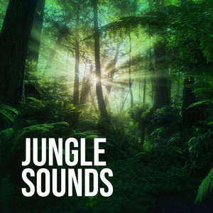 Jungle Sounds