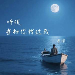 听说当初你找过我-失眠大叔