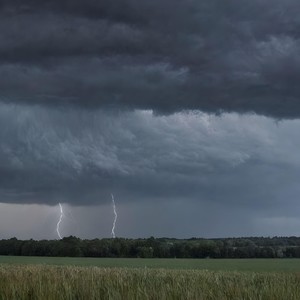 I Will Think Forever