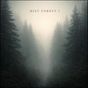 Mist Forest Silence