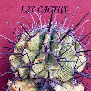 Les Cactus