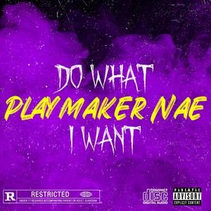 Do What I Want (Explicit)