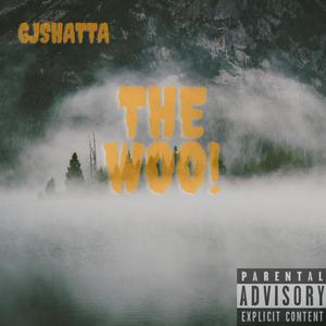 The Woo's (feat. Javho & lil qq) [Explicit]