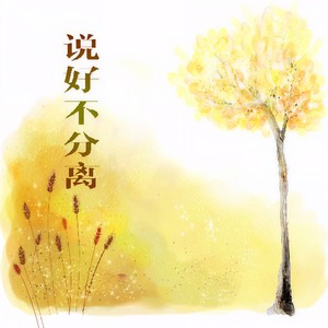 说好不分离