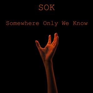 Somewhere Only We Know