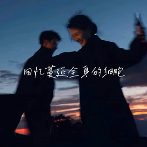 回忆蔓延全身的细胞