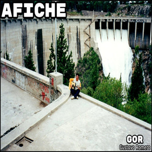 Afiche