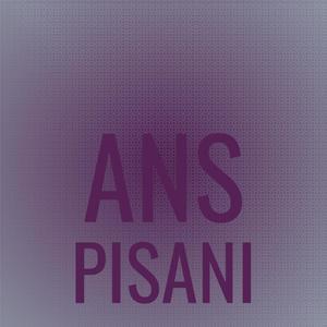 Ans Pisani