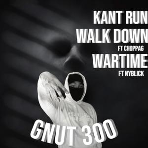 Kant Run (Explicit)