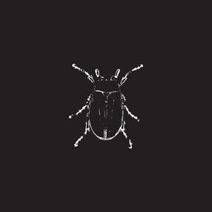 Dung Beetle