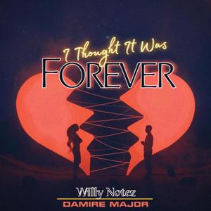 I THOUGHT IT WAS FOREVER (feat. Damire Major)