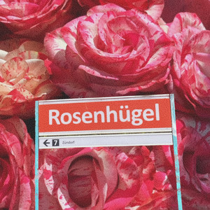 Rosenhügel