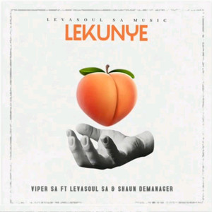 Lekunye (feat. Viper Sa, Shaun Demanager) (Radio Edit)