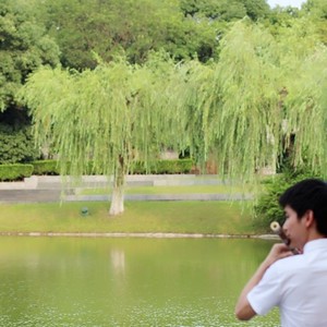 竹笛绪-王哲发 - 西风