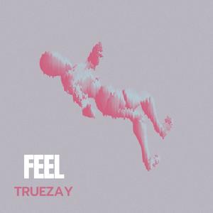 FEEL (Explicit)