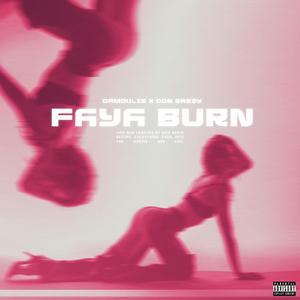 faya burn