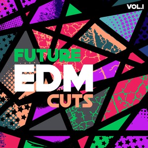 Future EDM Cuts, Vol. 1