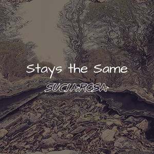 Stays The Same