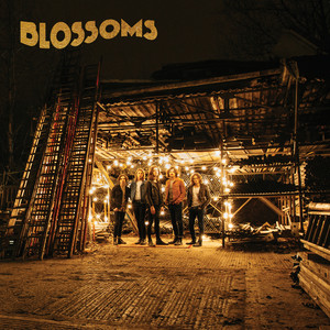 Blossoms - My Favourite Room