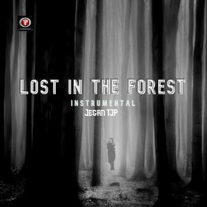 Lost in the forest