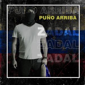 PUÑO ARRIBA