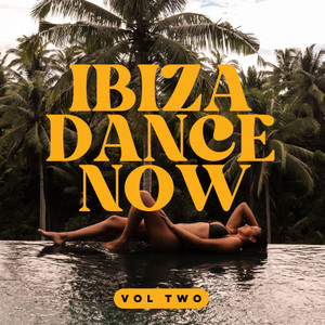 IBIZA DANCE NOW Volume 2