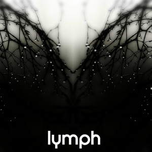 Lymph