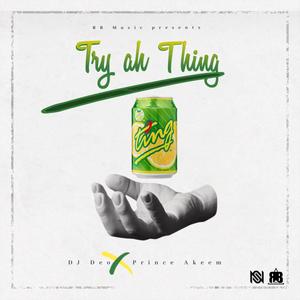 Try ah Thing (feat. Prince Akeem)