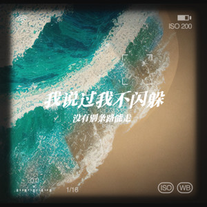 我说过我不闪躲(没有别条路能走)