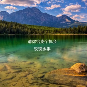 请你给我个机会