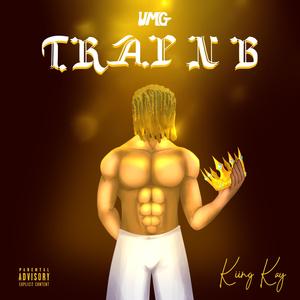 Nigga like me (feat. AleshJay) (Explicit)