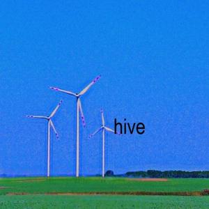 hive