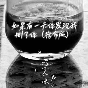 如果有一天你发现我删了你 (宿命版)
