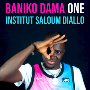 Institut Saloum Diallo