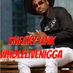 Sneaky Link (dirty) [Explicit]