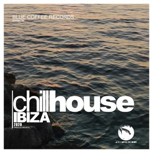 Chill House Ibiza 2020 (Continuous DJ Mix)
