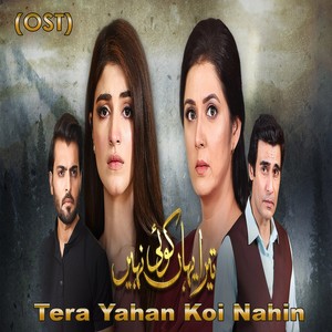Tera Yahan Koi Nahin (From 